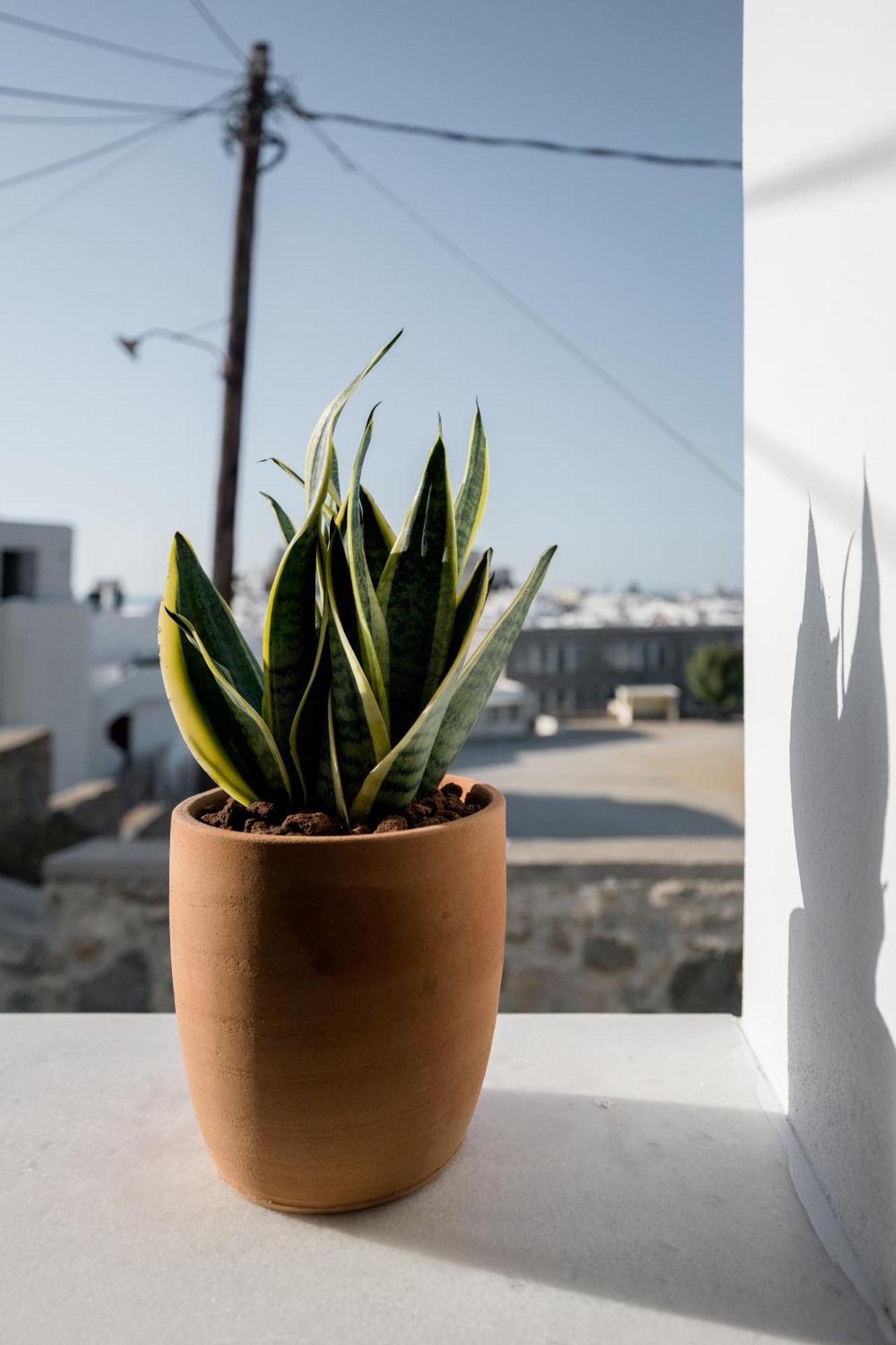 37 2 Heaven Naxos City Exterior foto